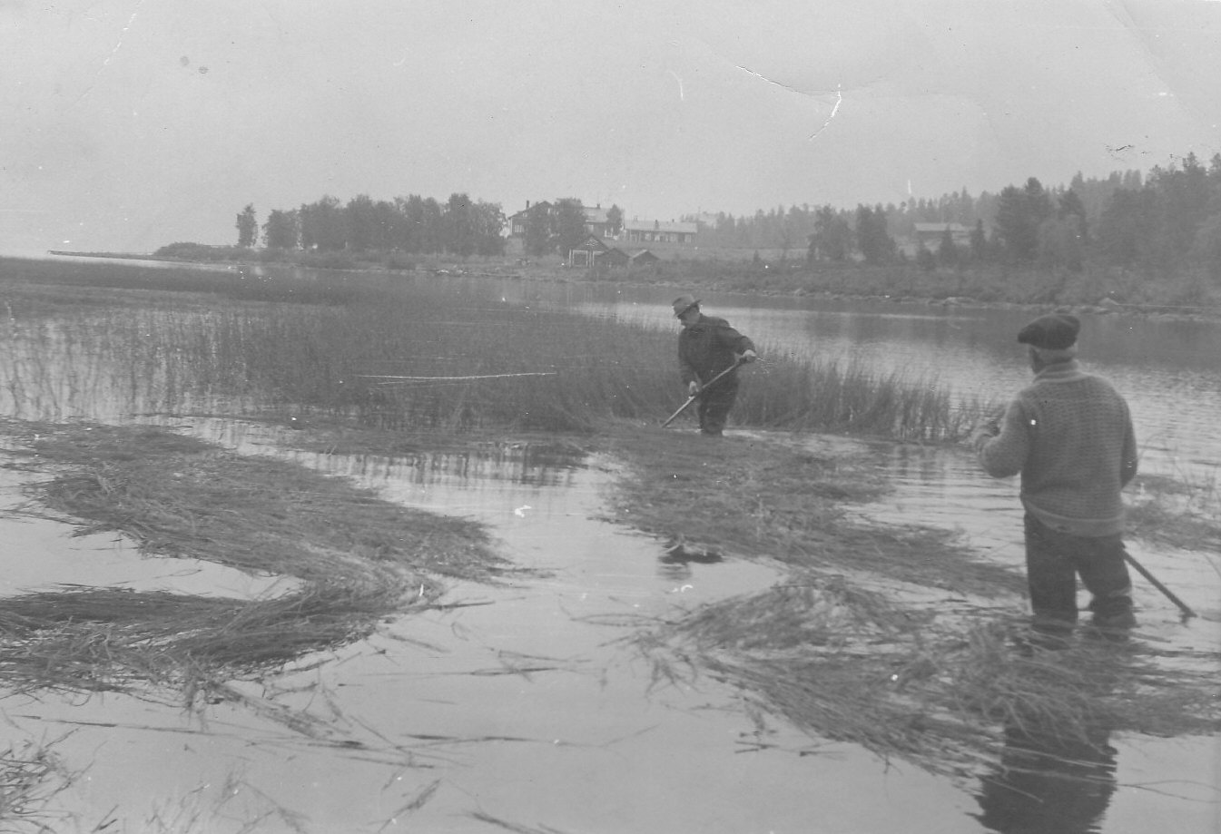 Kortteenleikkuu